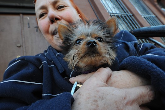 Todd Maisel's photo of the neighbor, who was sitting on the stoop watching firefighters work. Her building remained unscathed in the fire.
